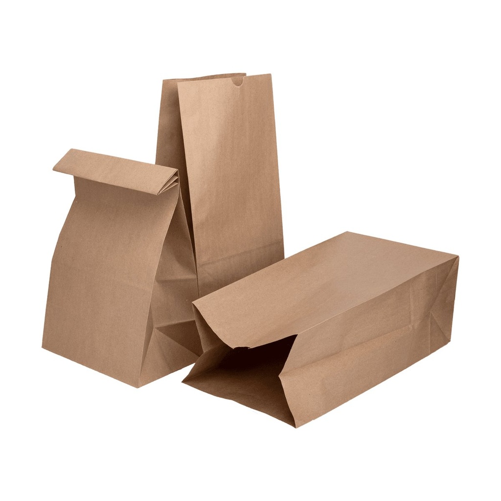 BROWN PAPER BAG 500CT # 20