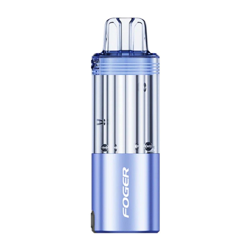 [15023] FOGER POD BLUEBERRY WATERMELON