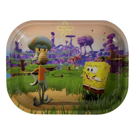 METAL TRAY 7X5 SPONGE B1