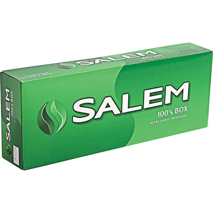 SALEM MENTHOL BOX 100
