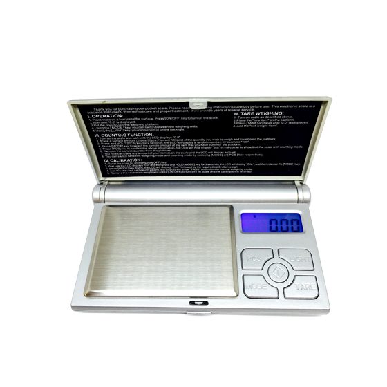SCALE FUZION FS-100
