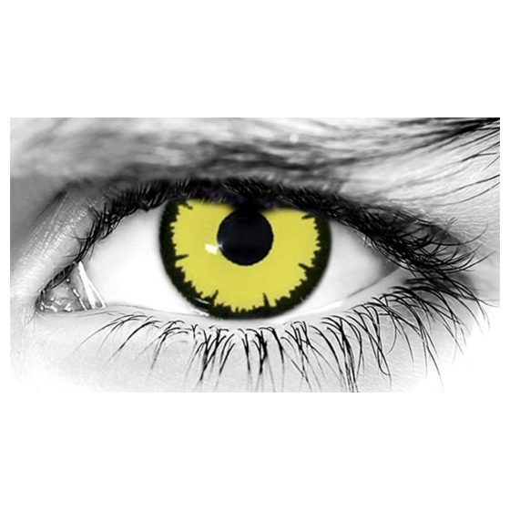 WE ANGELIC YELLOW