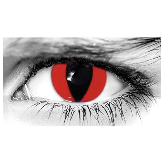 WE RED CAT