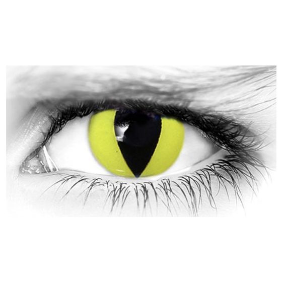 WE YELLOW CAT