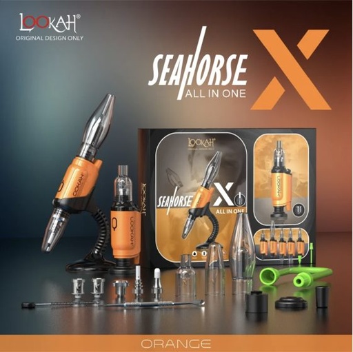 LOOKAH REG SEAHORSE ORANGE