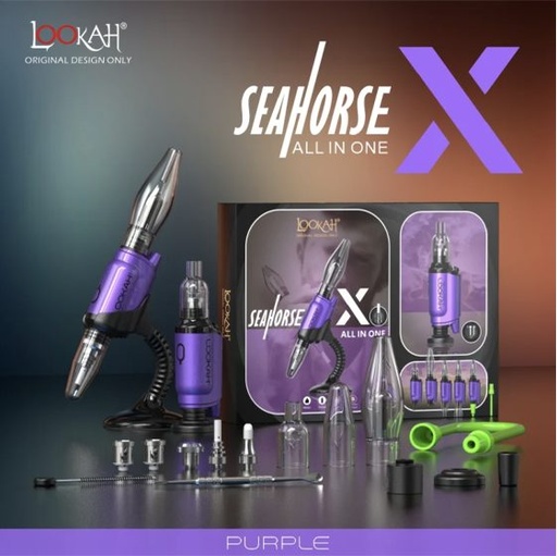 LOOKAH REG SEAHORSE PURPLE