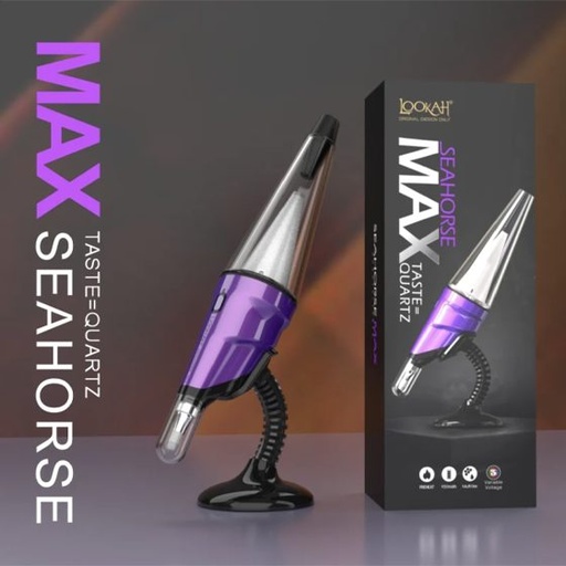 LOOKAH SEAHORSE MAX PURPLE